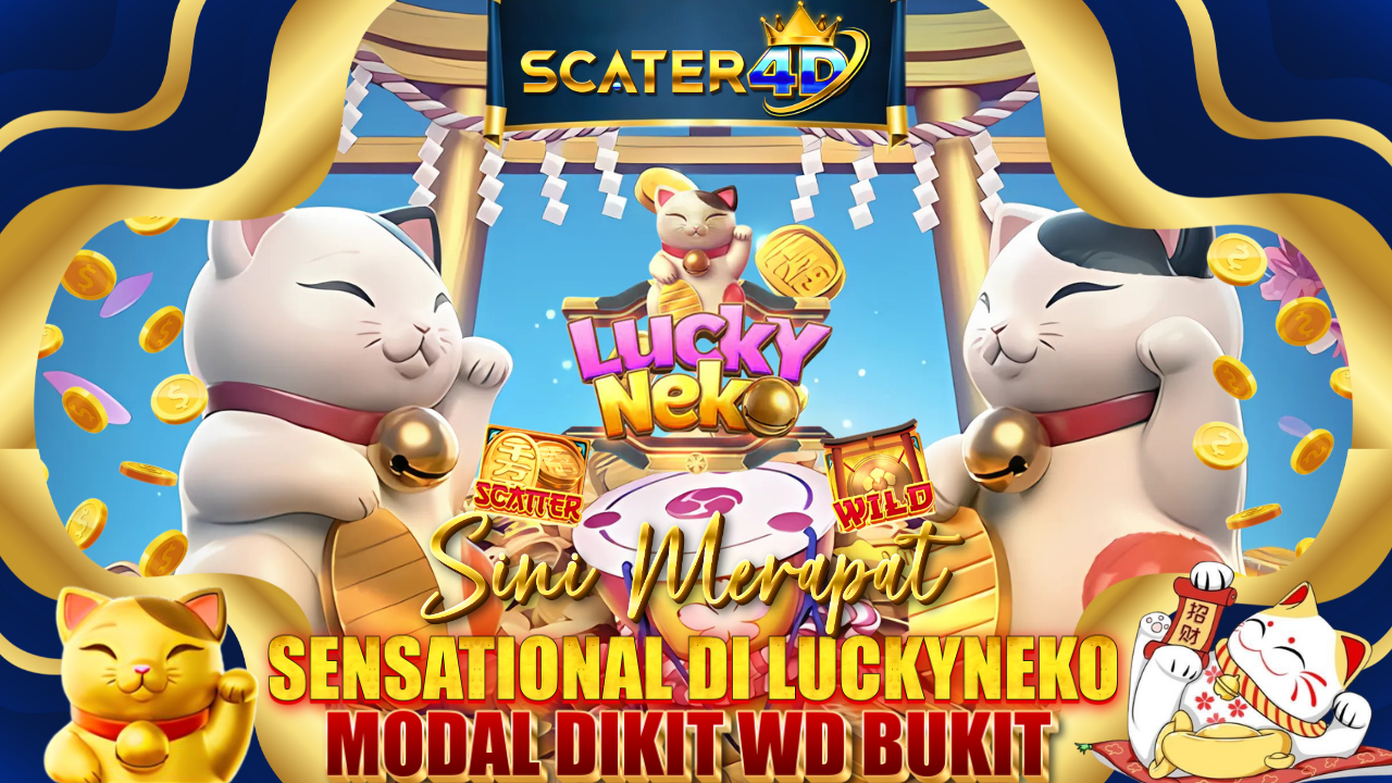 SCATER4D
