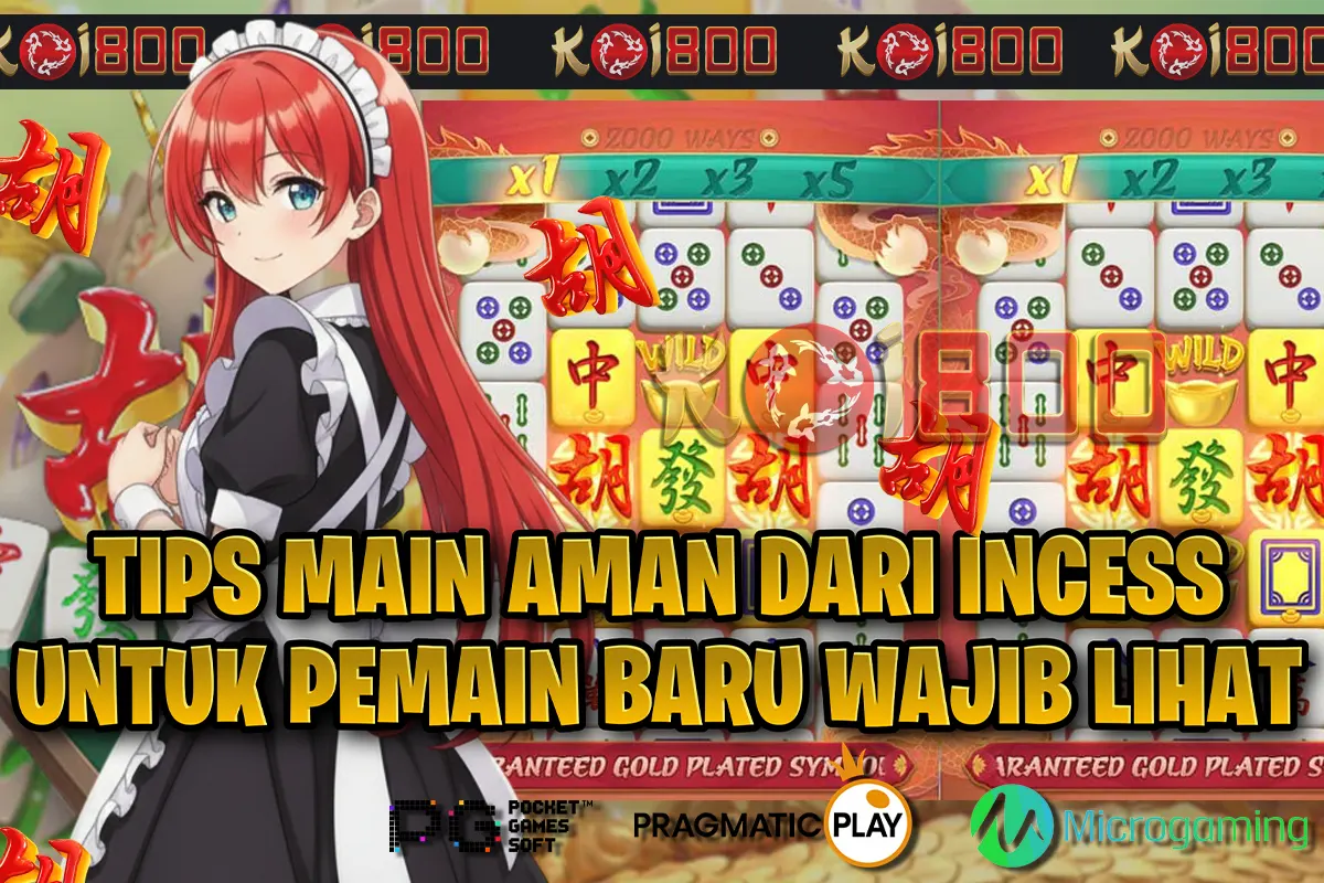Strategi Admin PG Soft Koi800 Terbaru Bikin Member Baru Auto Maxwin