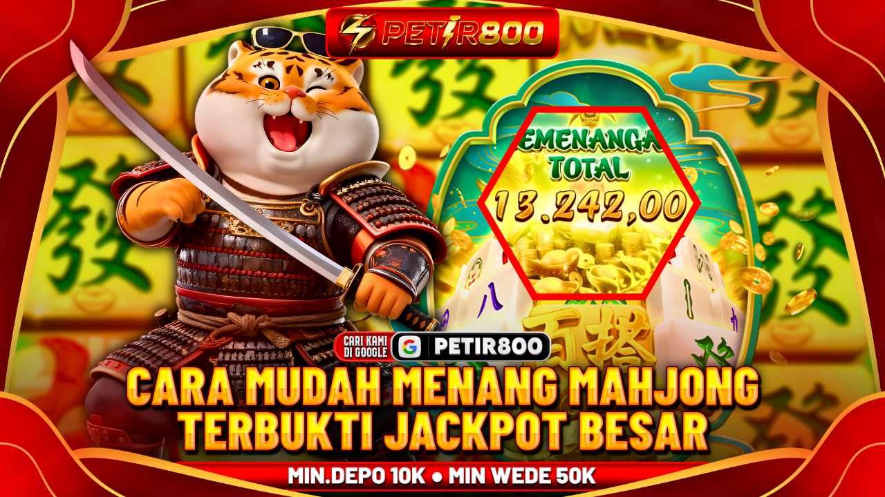 PETIR800 Banner
